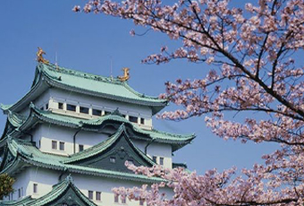 日本办事处